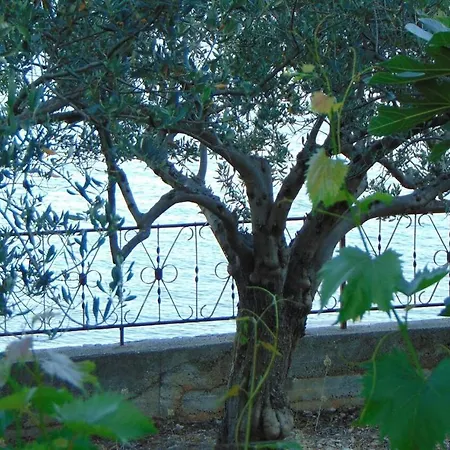 By The Sea Seget Donji, - 19351 Daire